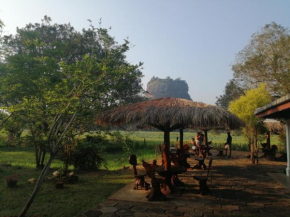 Best view hostel